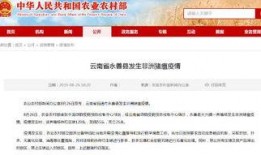 昭通爆料最新消息新闻网,最新消息全网热议，揭秘事件背后真相